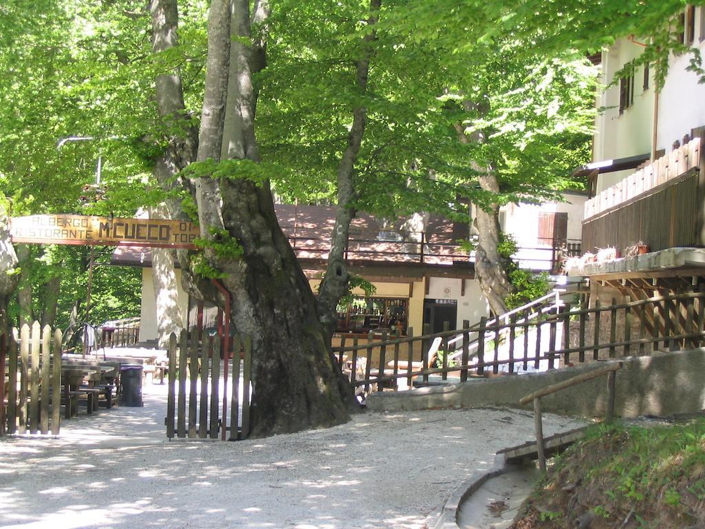 Albergo Ristorante Montecucco Da Tobia Sigillo Eksteriør billede